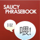 Saucy Phrasebook is quite humorous in its attempt to provide travelers with some actual, crude foreign language phrases they might use in the real world traveling scene. One example: "I drank too much and need to puke." Price: Free