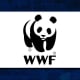 World Wildlife Fund (WWF) is an advocacy and conservation organization dedicated to protecting the future of nature. Working in 100 countries and supported by more than 6.2 members globally, WWF leverages science, policy, and grassroots commitment to protect and restore species and their habitats. Plus, its logo is an incredibly cute panda bear.