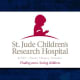 St. Jude Thaddeus, patron saint of hopeless causes, was the inspiration for the actor Danny Thomas when he founded St. Jude Children's Research Hospital in 1962 to combat childhood cancer. The organization has improved survival rates among children from 20% to 80% in half a century through research and has markedly improved the lives of children fighting a deadly disease.