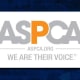 The American Society for the Prevention of Cruelty to Animals (and its catchier moniker ASPCA) has had an immeasurable impact on reducing animal cruelty. With more than 2 million supporters, the ASPCA (and its local affiliates) is the first humane society in North America-founded in 1866-and notably over the years, it has expanded its training programs and tactics to keep pace with changing times.