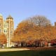The Philadelphia-based university comes in third on the list. Notable attendees included President Donald Trump, and billionaire investor and CEO of Berkshire Hathaway Warren Buffett.