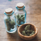 The North American Marijuana Index nearly tripled in the months leading up to Election Day. Many articles came out at the time touting everything from risky over-the-counter stocks to multibillion dollar pharmaceutical companies researching marijuana-based medicines to drive profits.Investors who bought OTC stocks watched as their ticket to the green gold rush fell in value as much as 50% following Donald Trump's surprise victory. Since November 9 marijuana stocks have remained largely stagnant on concerns that Trump's attorney general, Jeff Sessions, would impede the marijuana industry's growth. The November election created a lot of buzz in the marijuana industry. Eight of the nine states with marijuana legislation on their ballots voted in favor of medicinal or recreational legalization. And despite Trump's election, experts expect the strong momentum behind the marijuana industry to continue.To read more, click here
