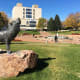 7. Pueblo, Colo.Vehicles stolen: 1,023Rate per 100,000 people: 602.39