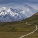 Six million acres of Alaska’s interior wilderness and Denali, North America’s tallest mountain, are among the highlights of this park. There is just one road, which is mostly restricted to buses, allowing wild animals of all types to roam the unfenced lands.