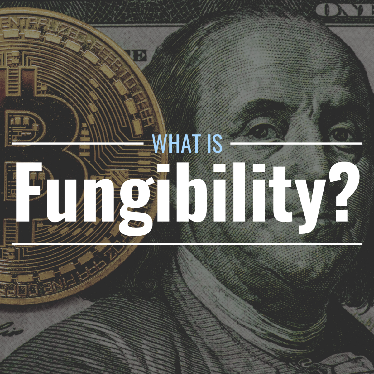 What Does Fungible Mean? Definition, Explanation & Examples - TheStreet