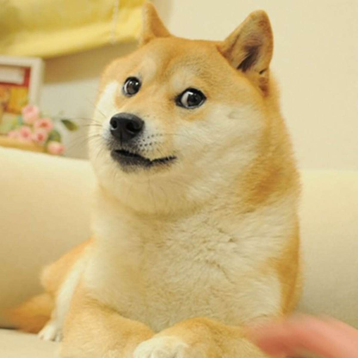 Reddit and Crypto: Doge, Bitcoin, Elon Musk, and a Look Back at 2021 -  TheStreet