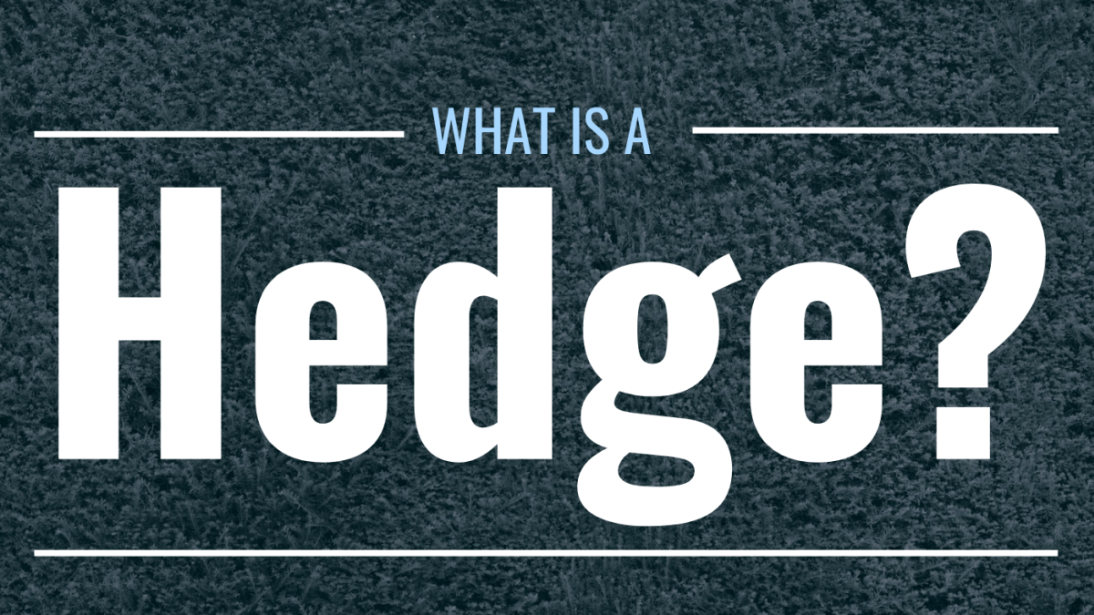 What Is a Hedge? How Does It Work? - TheStreet