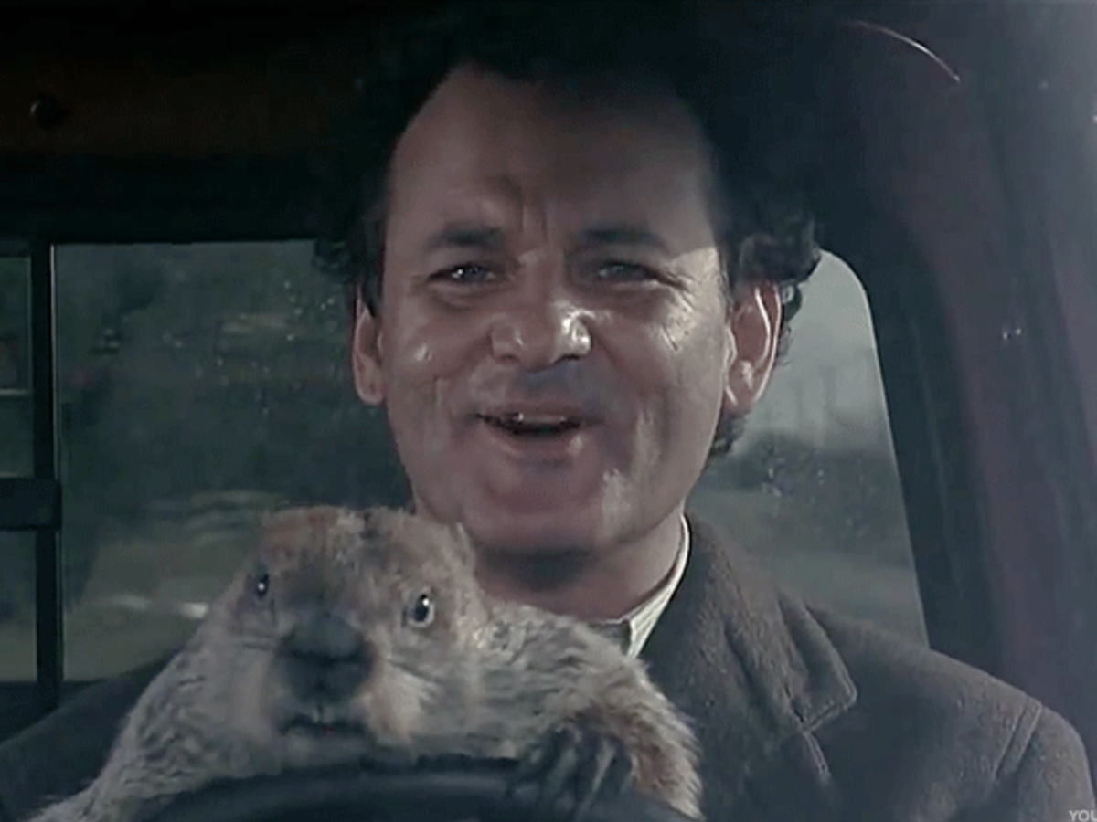 Groundhog Day, Market Version: Has Anybody Seen Bill Murray? - TheStreet