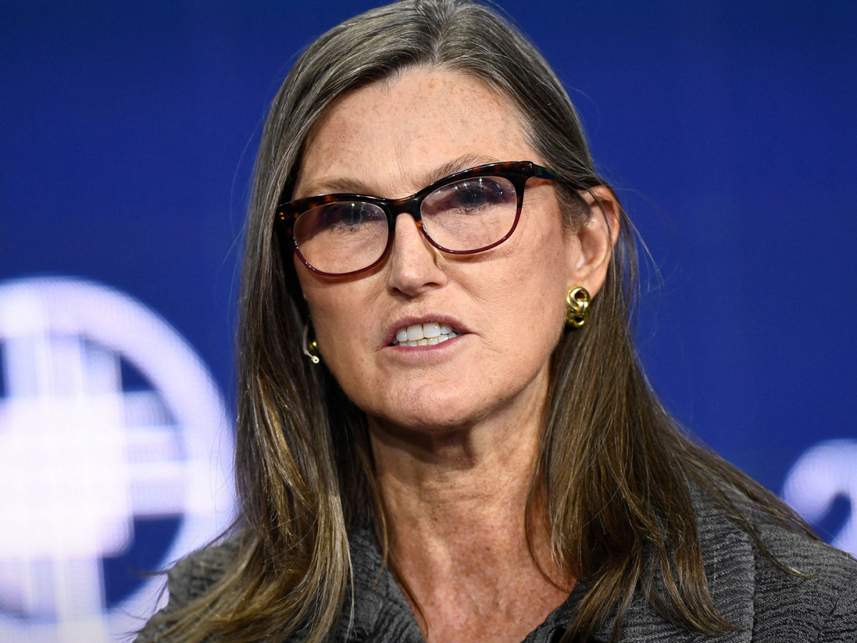 Cathie Wood Watch: Ark Buys International-E-Commerce, Biotech Stocks -  TheStreet