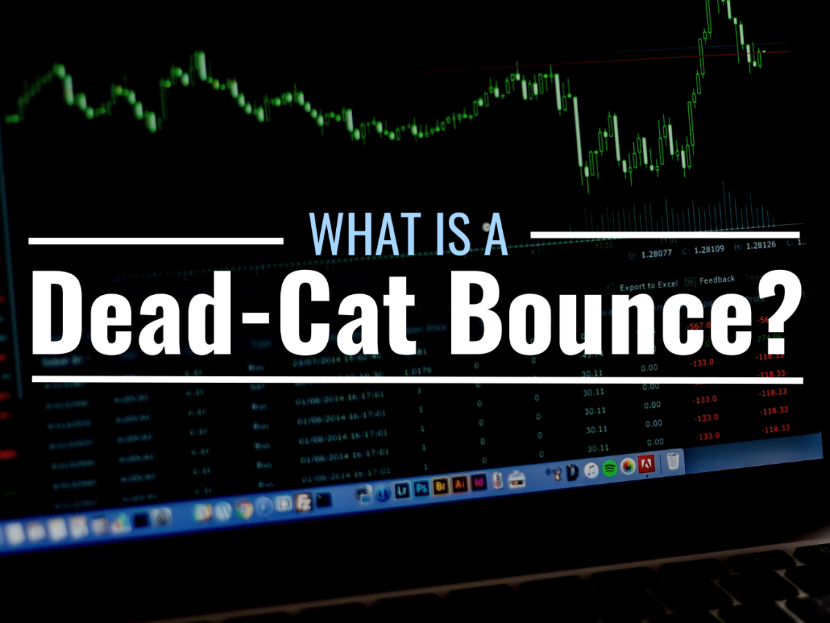 What Is a Dead-Cat Bounce? Definition & Example - TheStreet