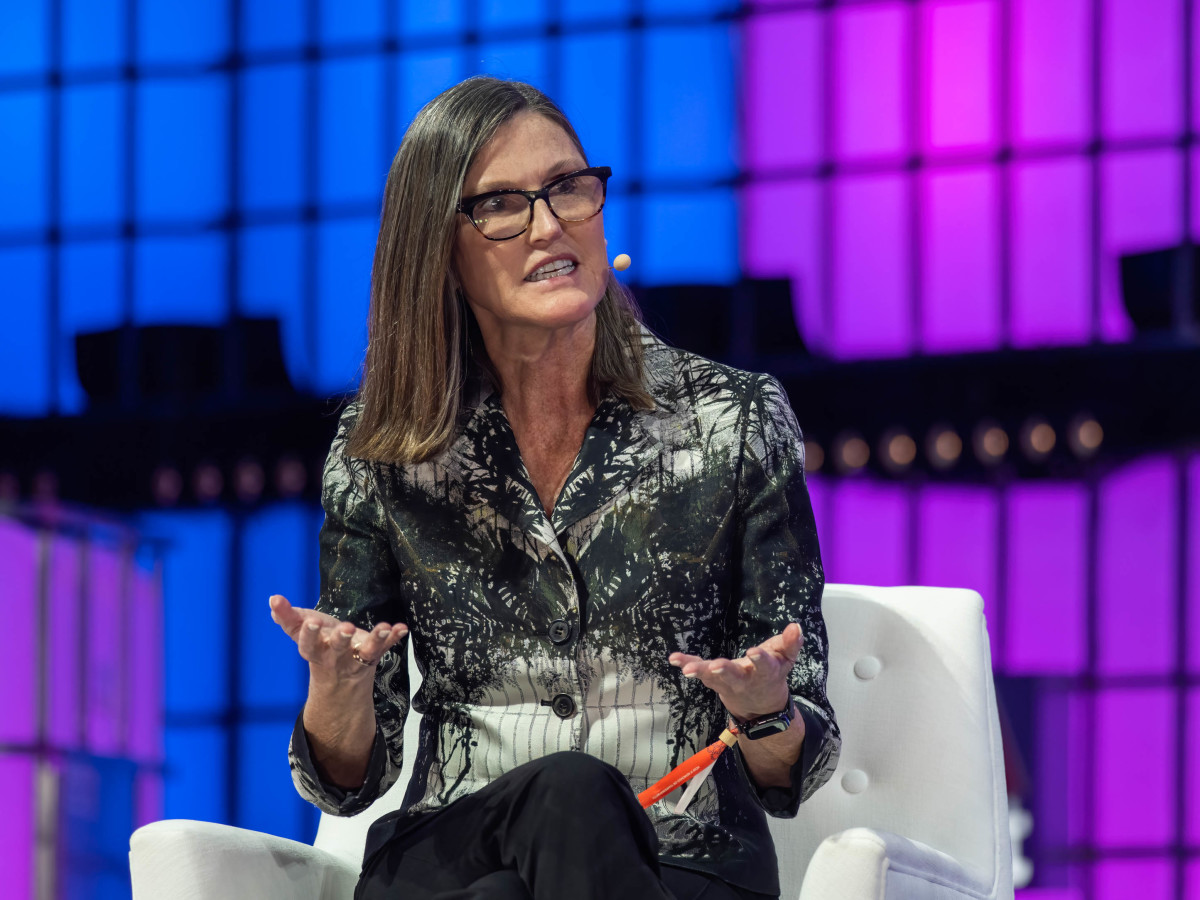 Cathie Wood buys $30 million of under-the-radar AI stock - TheStreet