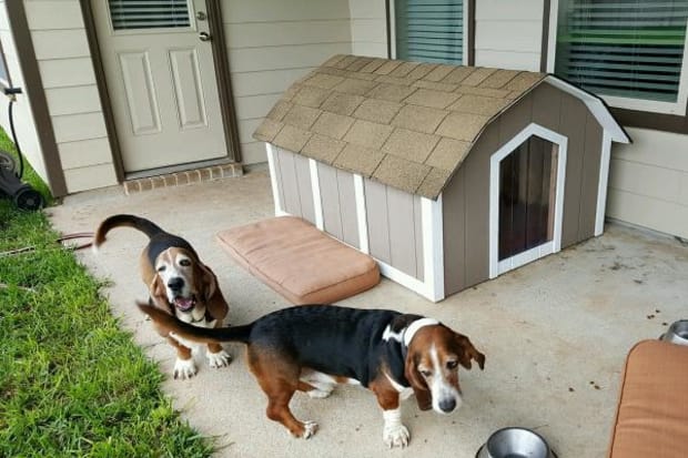 ricky lee's air conditioned dog houses