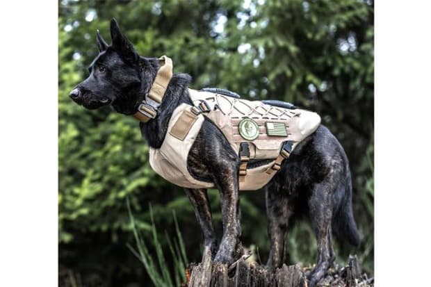 tactical dog carrier