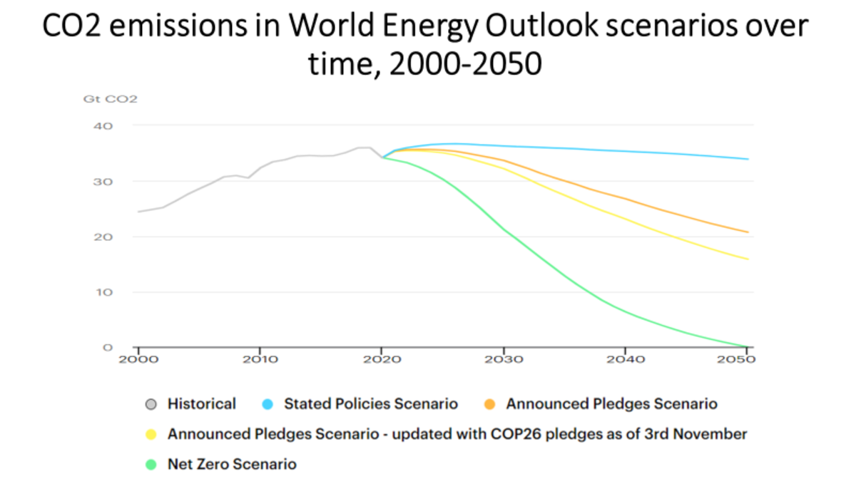 Decarbonization and “Greenflation”
