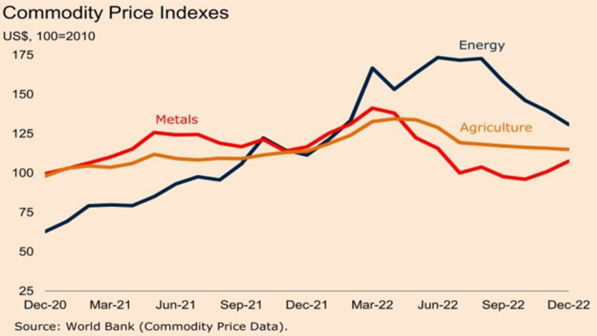 The parrot says that commodity prices will rise
