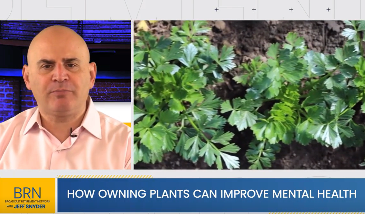 How Owning Plants Can Improve Mental Health
