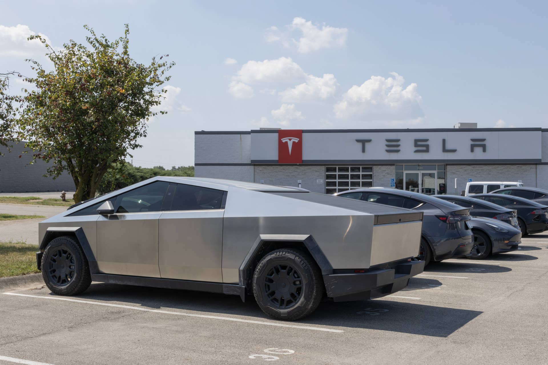Tesla feels pressure from BYD in EV sales race