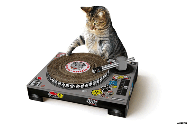 17-cat-turntables.png