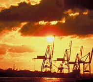 Image placeholder title