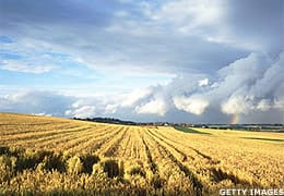 Image placeholder title