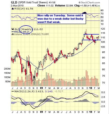 Image placeholder title