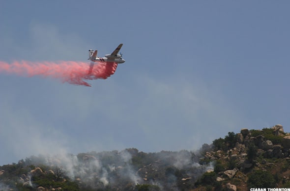 Image placeholder title