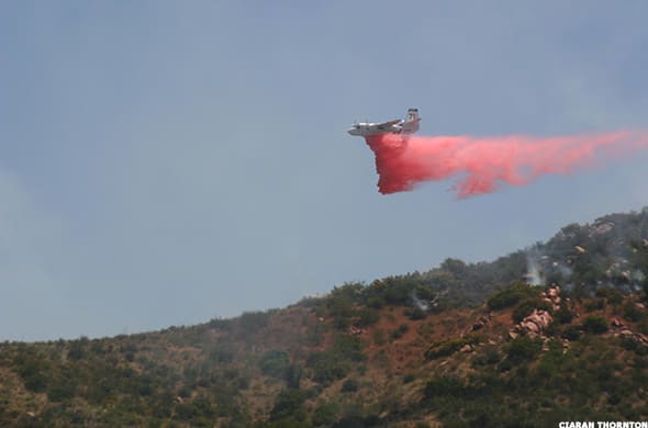 Image placeholder title