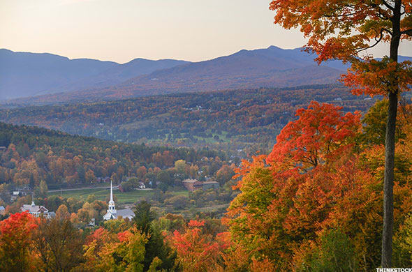 Image placeholder title