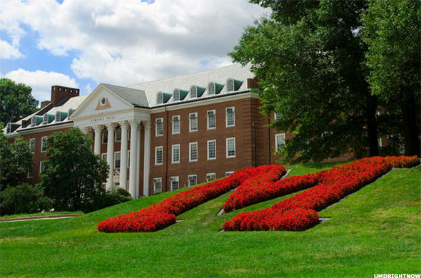 Image placeholder title