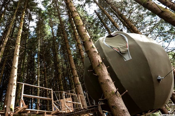 Image placeholder title