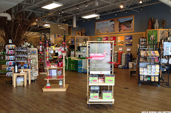 Image placeholder title