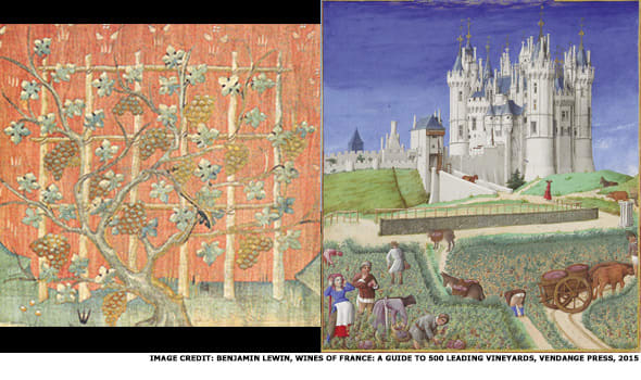 Image placeholder title