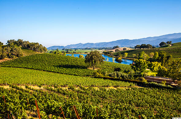 Image placeholder title