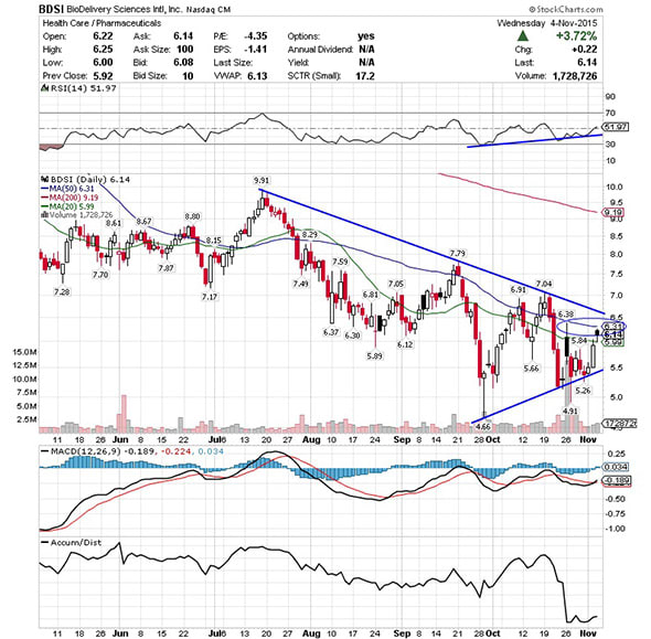 Image placeholder title