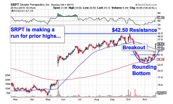 Image placeholder title