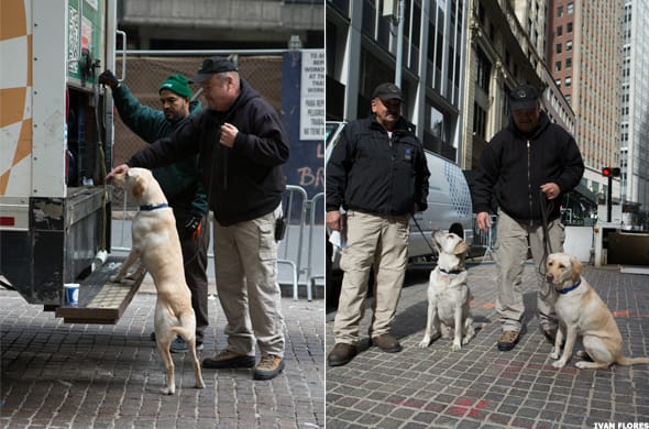 Image placeholder title