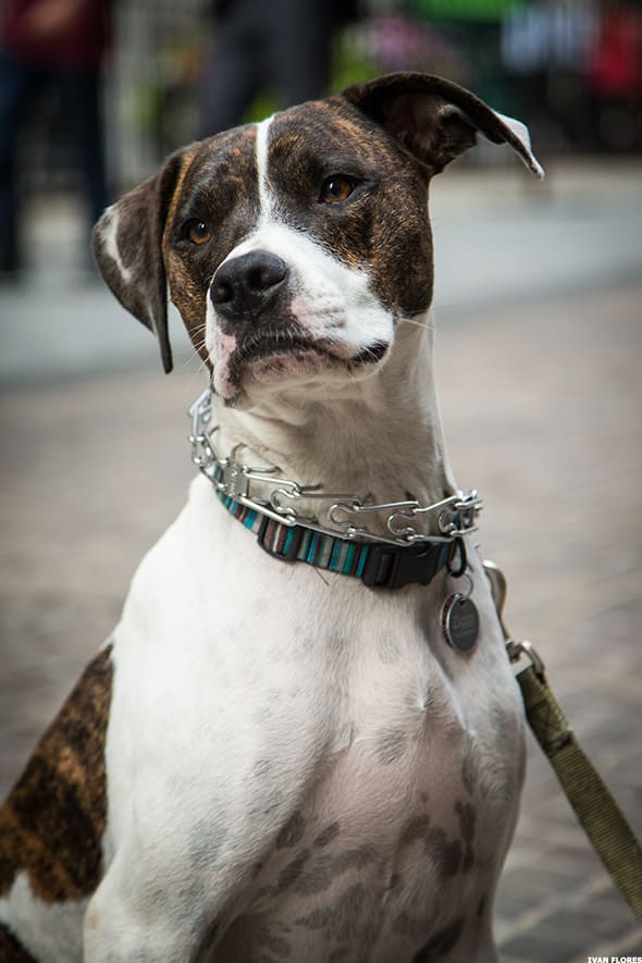 Image placeholder title