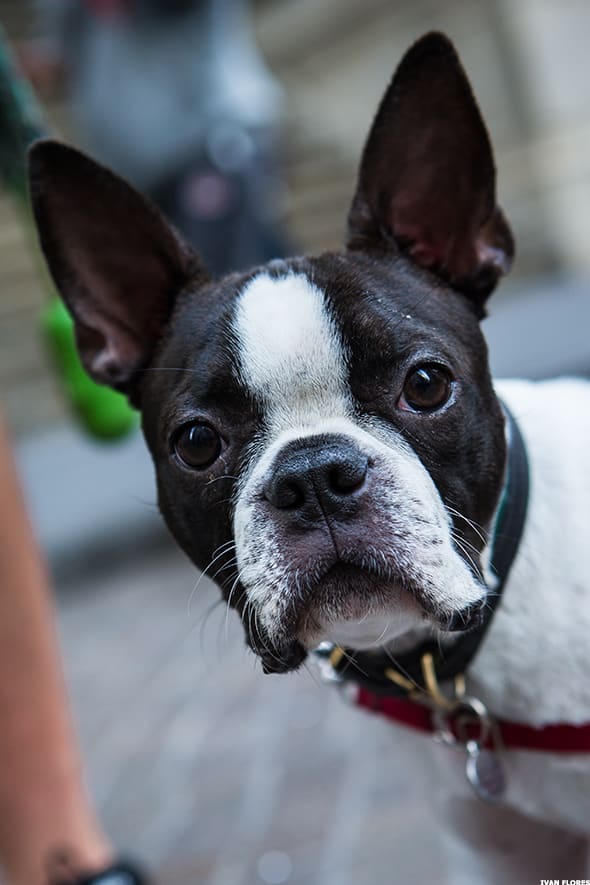 Image placeholder title