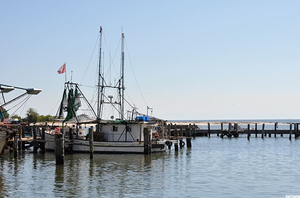 Image placeholder title