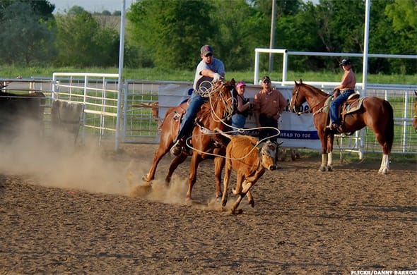 Image placeholder title