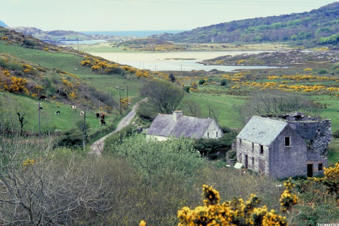 Image placeholder title