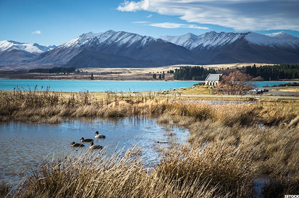 Image placeholder title