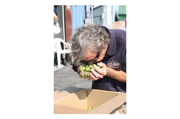 Image placeholder title