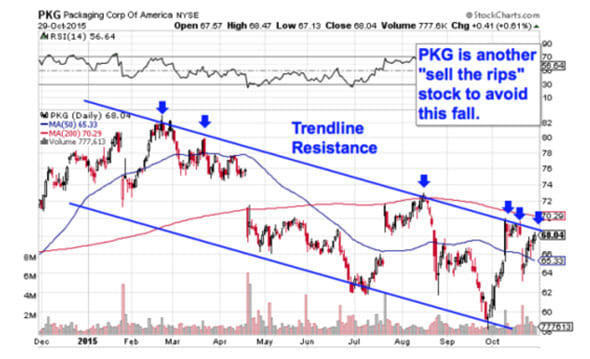 Image placeholder title