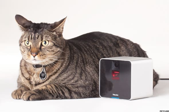 Image placeholder title