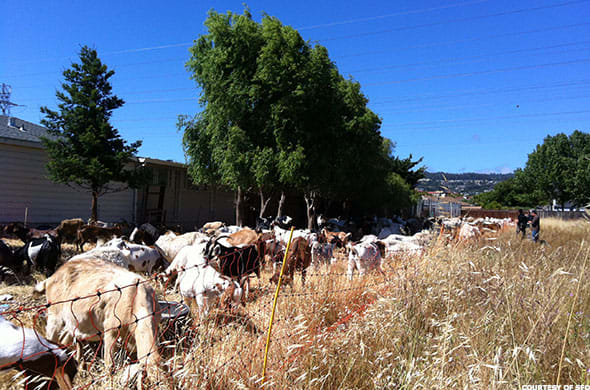 Image placeholder title