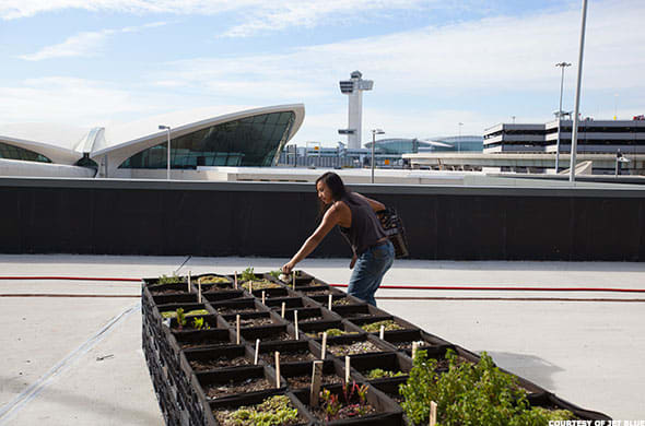 Image placeholder title