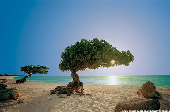 Image placeholder title