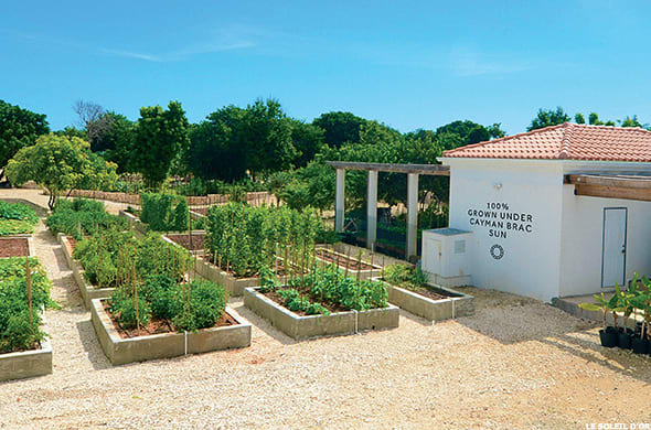 Image placeholder title