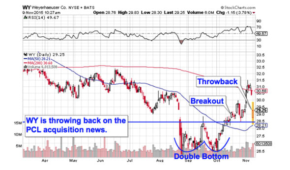 Image placeholder title